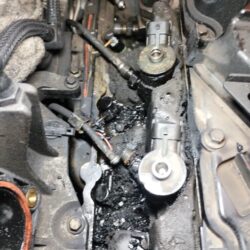 WhatsApp Image 2025-10-31 at 13.04.53