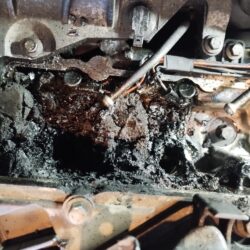 WhatsApp Image 2025-10-31 at 13.04.53 (3)