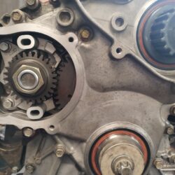 WhatsApp Image 2025-10-31 at 13.06.03