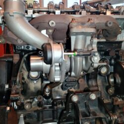 WhatsApp Image 2025-10-31 at 13.06.04