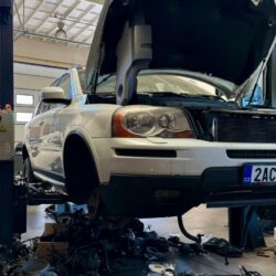 WhatsApp Image 2025-10-31 at 13.08.18 (1)